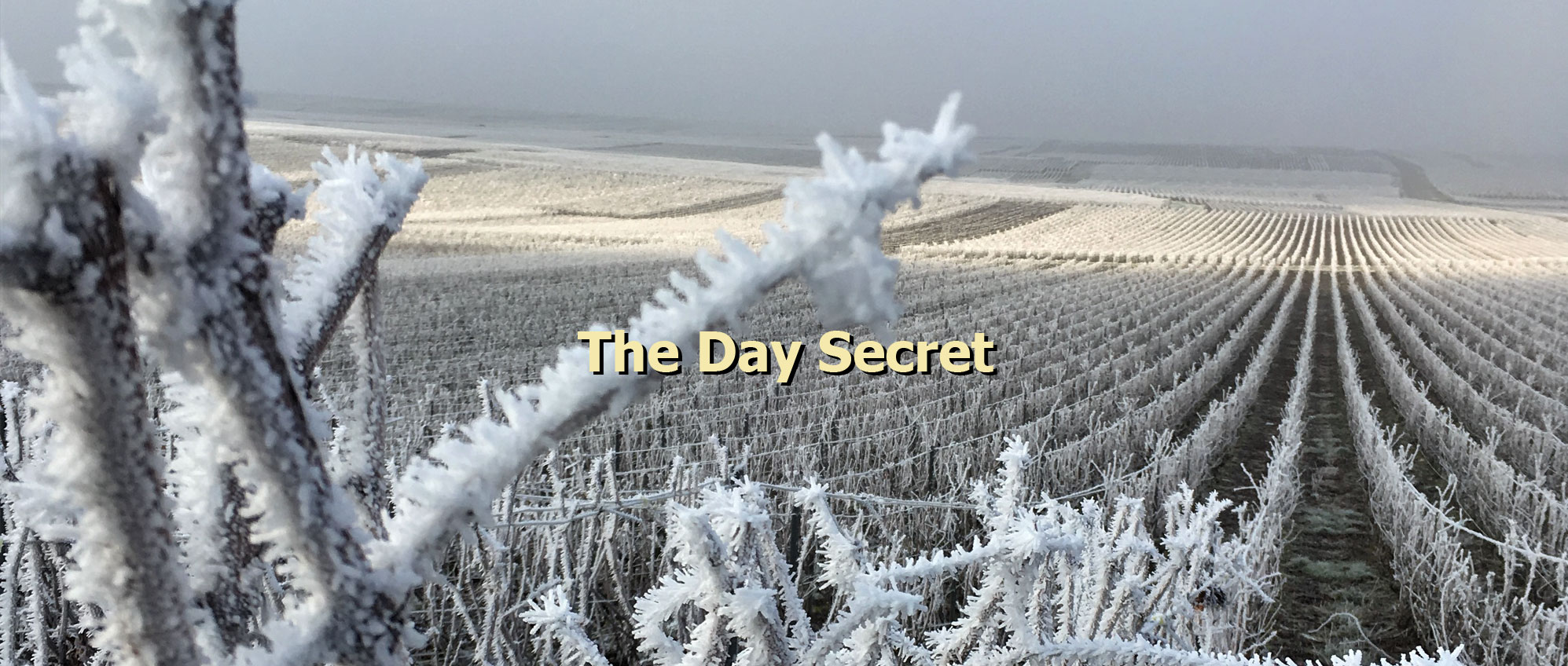 Day Secret